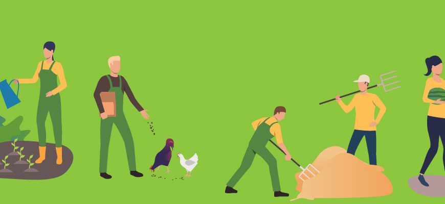 agriculture